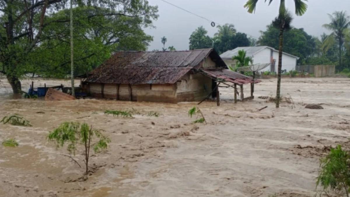 Total Korban Meninggal Bencana Sumatera Utara, Sumatera Barat dan Aceh Jadi 442 Orang