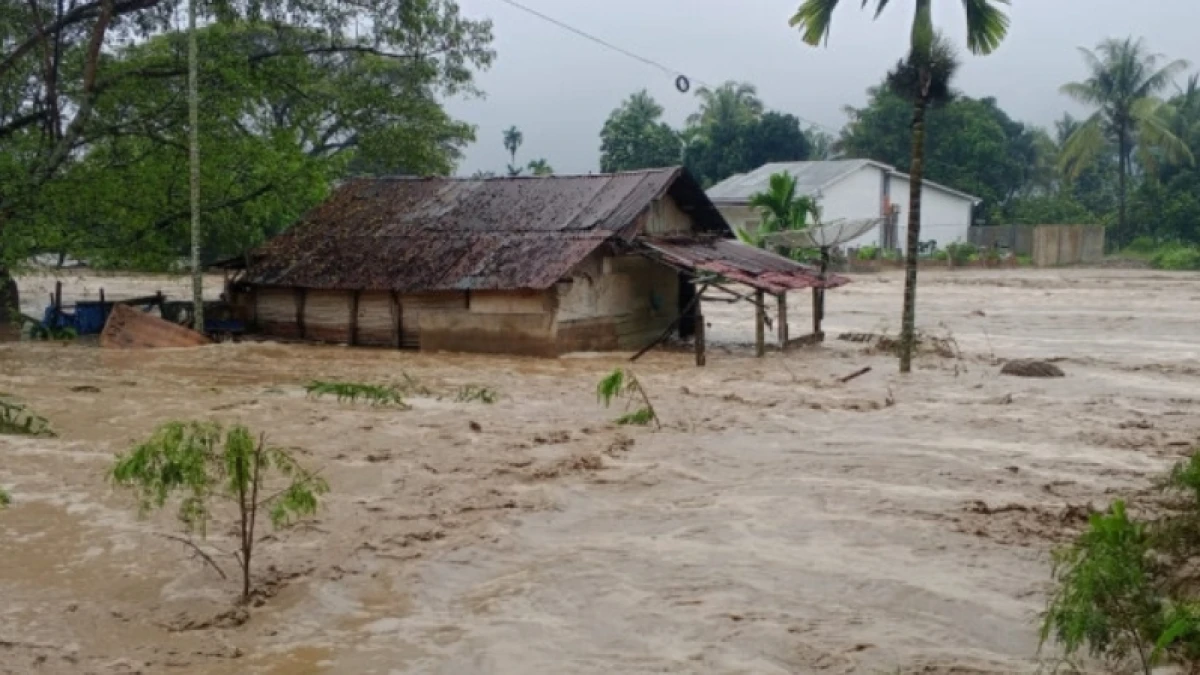 YLBHI Desak Pemerintah Tetapkan Status Bencana Nasional Banjir Sumut hingga Aceh