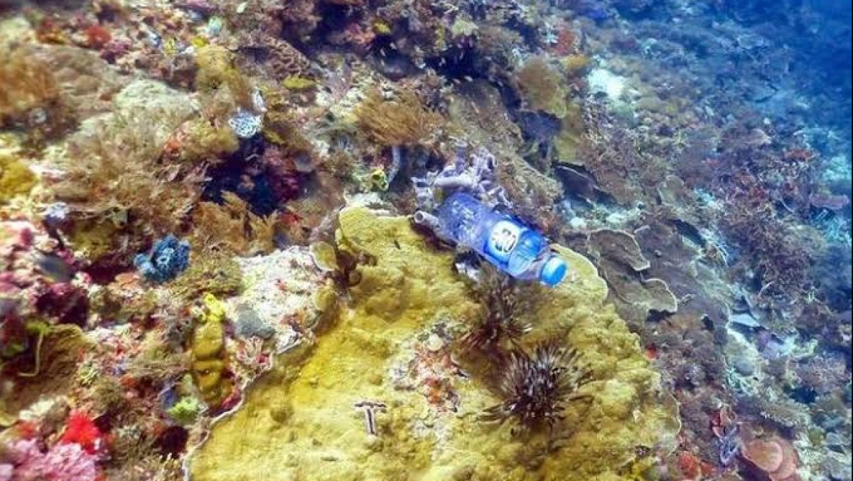 AI Buatan Jepang Mampu Deteksi Sampah Plastik di Dasar Laut Lebih Cepat