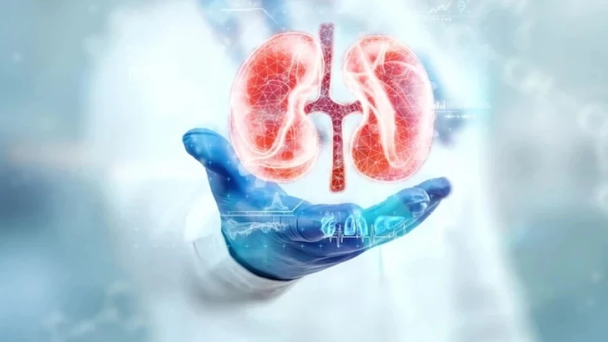Donor Ginjal, Jual Beli Organ Tubuh, Hingga Biaya Pencalegan