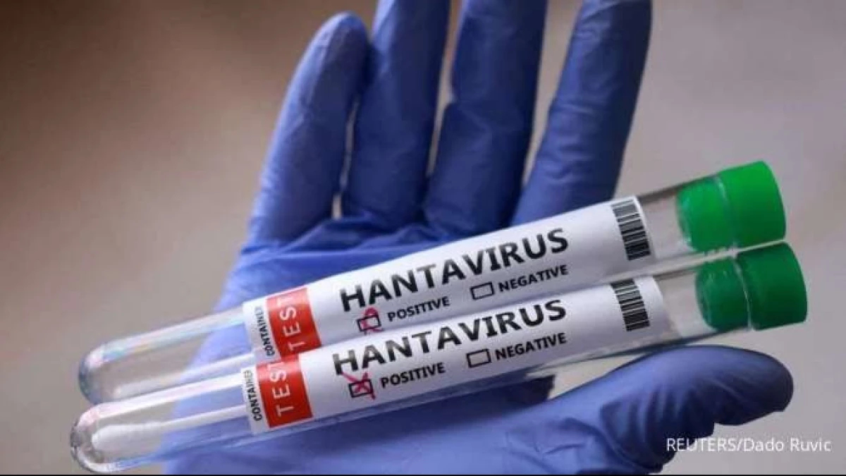 Waspada Hantavirus, Kemenkes Pastikan Belum Ada Kasus HPS di Indonesia