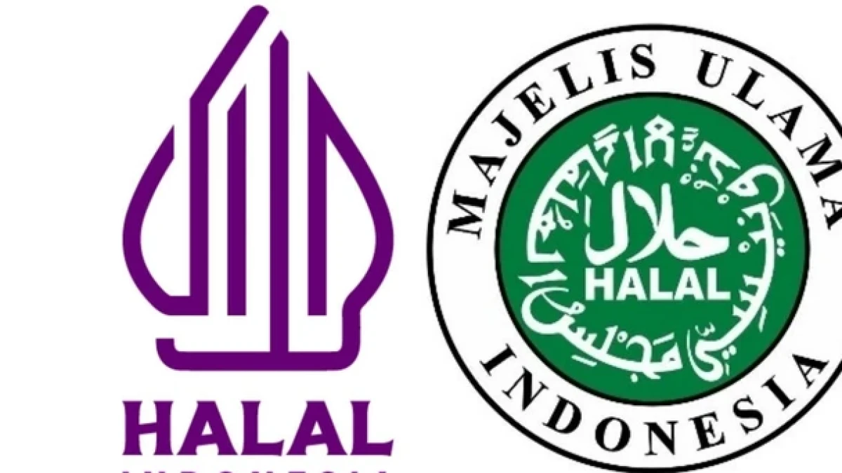 BPJPH Terbitkan Aturan Baru, Status Halal Produk Impor Kini Diperjelas