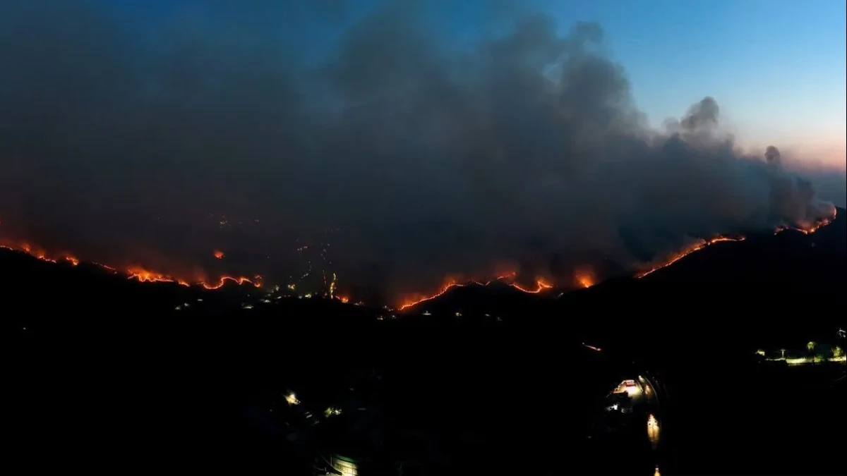 Bencana Kebakaran Hutan di Korea Selatan, 4 Orang Tewas