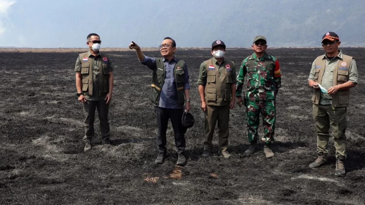 Kebakaran 889 Hektare Kawasan Bromo Dinyatakan Padam, tapi Bara Masih Perlu Diwaspadai