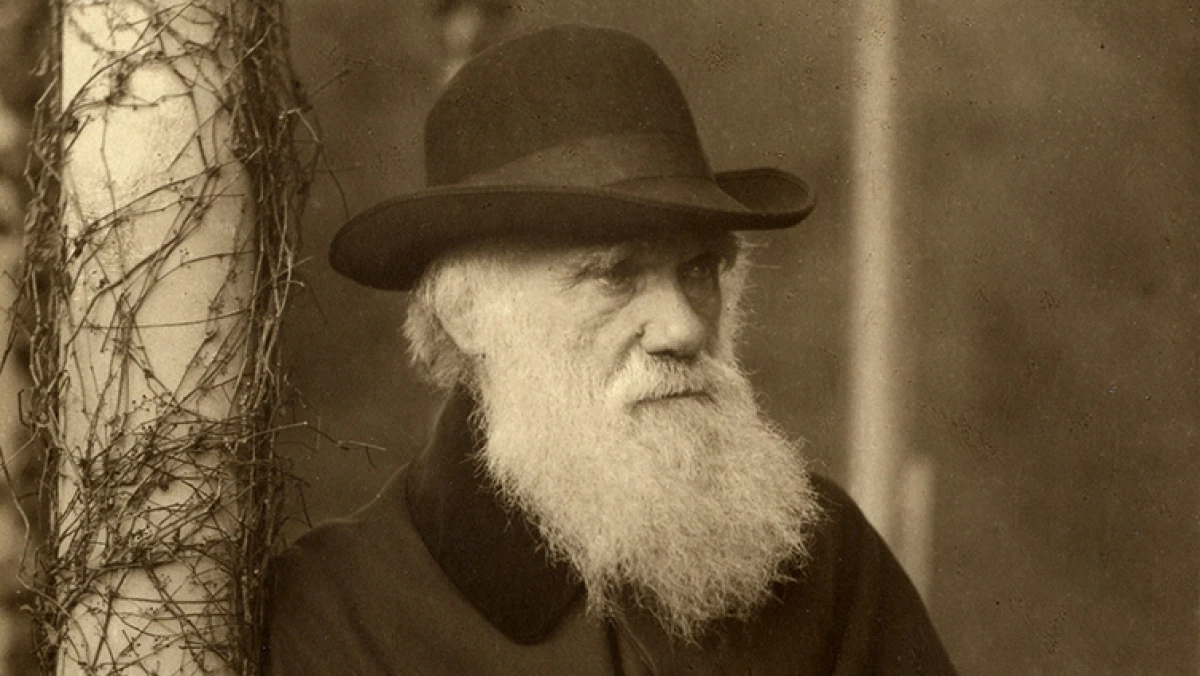 12 Februari 2025 Memperingati Hari Apa? Ada Hari Darwin dan Hari Pariwisata di Taipei
