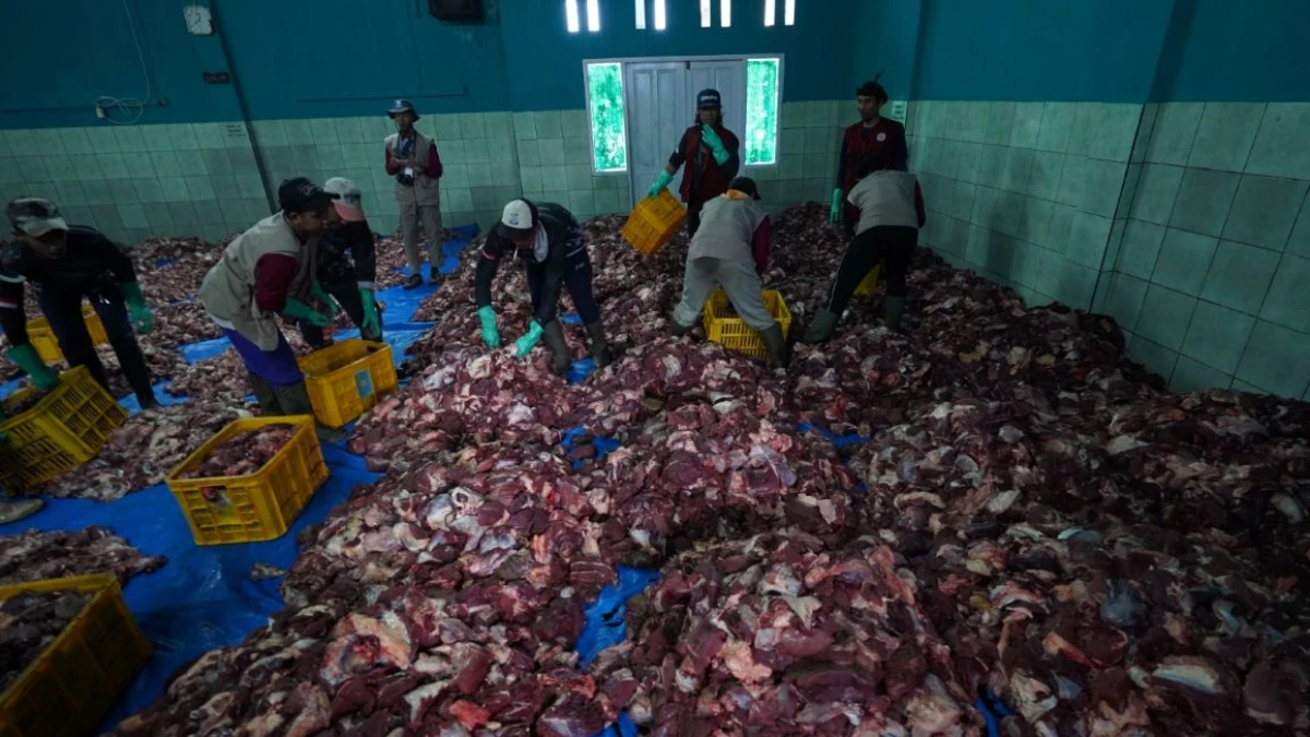Banjir Kurban di Desa Batur Banjarnegara, Warga Himpun 176 Sapi dan 714 Kambing pada Idul Adha 2026