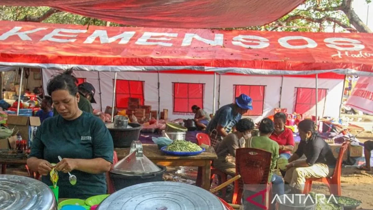 Status Erupsi Gunung Lewotobi Laki-laki & Update Kondisi Terbaru