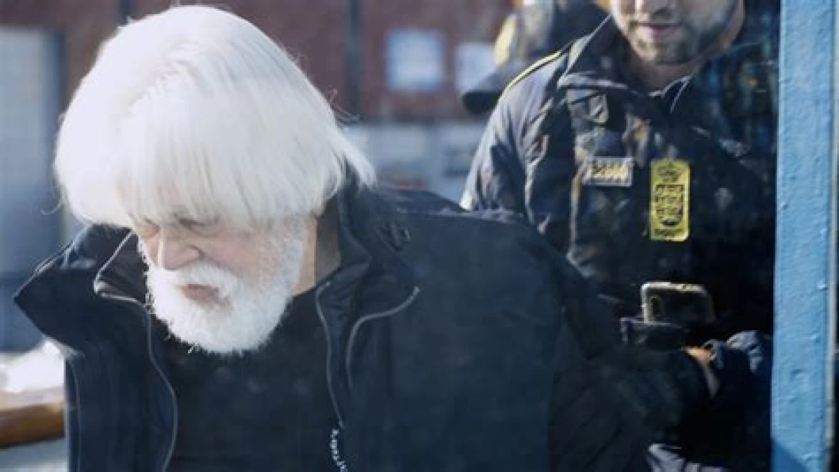 Paul Watson, Aktivis Brutal Musuh Pemburu Paus Bebas dari Penjara Greenland