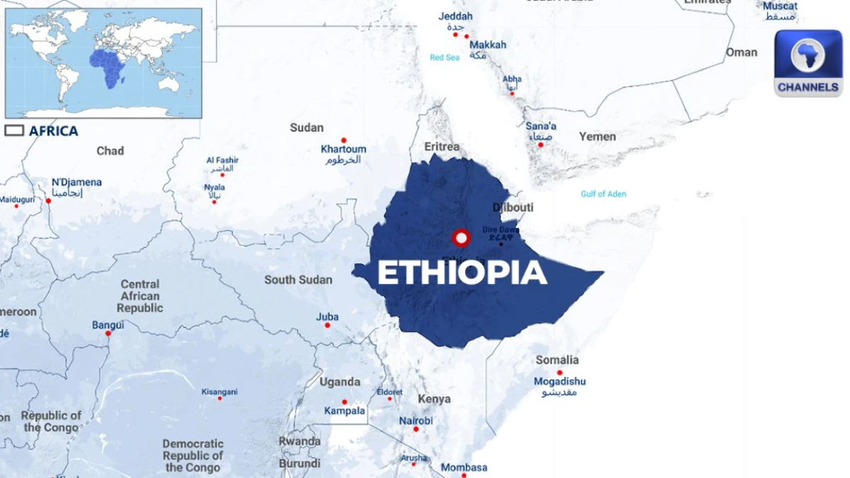 Serangan Drone Tewaskan Sedikitnya 14 Orang, Termasuk Anak-anak, di Kamp Pengungsian Ethiopia