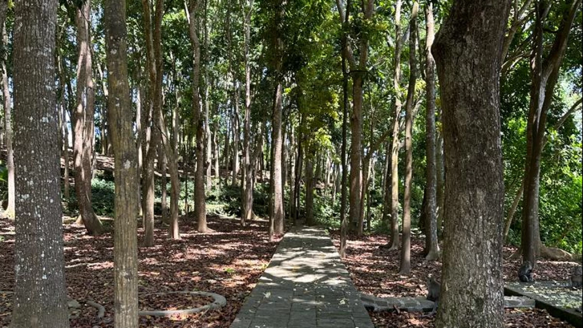 Sejarah Monkey Forest Ubud Bali dan Konsep Tri Hita Karana