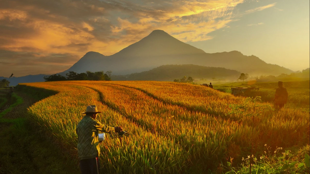 9 Rekomendasi Gunung di Mojokerto yang Indah Cocok untuk Pendaki Pemula
