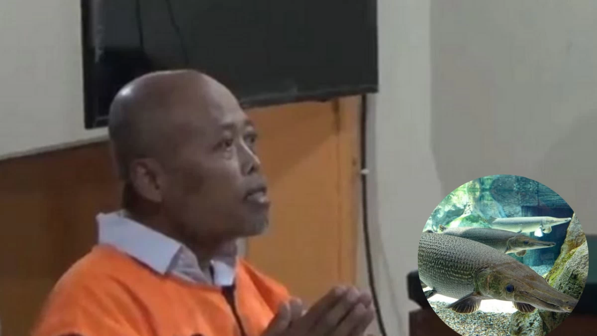 Kakek Piyono Divonis 5 Bulan Penjara Gara-gara Pelihara Ikan Aligator Gar, Begini Penjelasan Hukum Fiqih