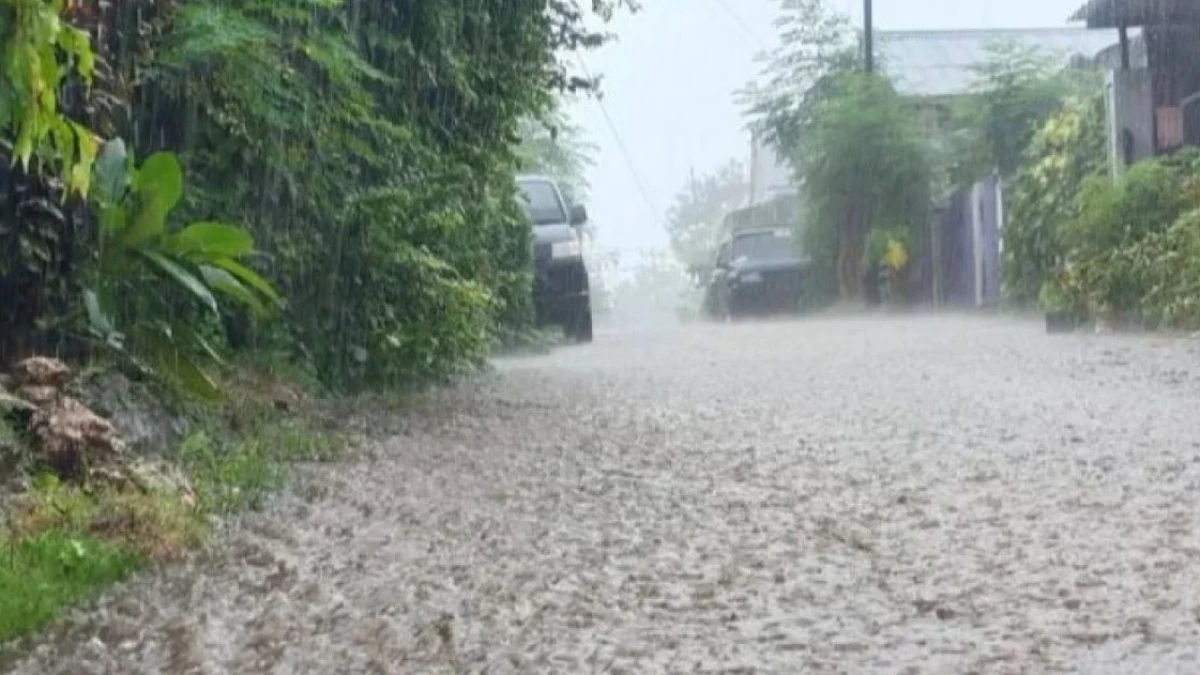 Waspada Cuaca Ekstrem 16-17 Februari 2026, Hujan Lebat dan Angin Kencang Intai Sejumlah Provinsi