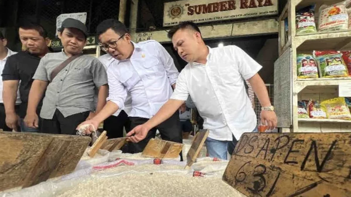 Pemerintah Sediakan Bantuan Beras 6 Bulan di Tahun 2025