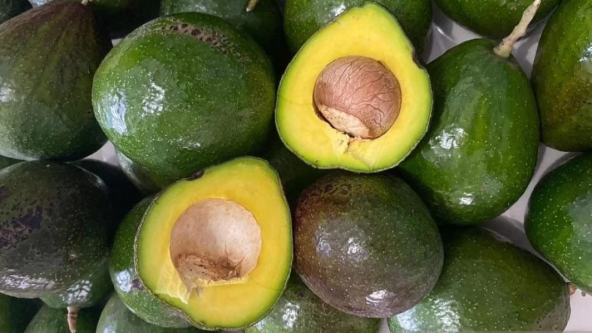 Termasuk Favorit Gus Dur, Simak Manfaat Buah Alpukat untuk Kesehatan Tubuh