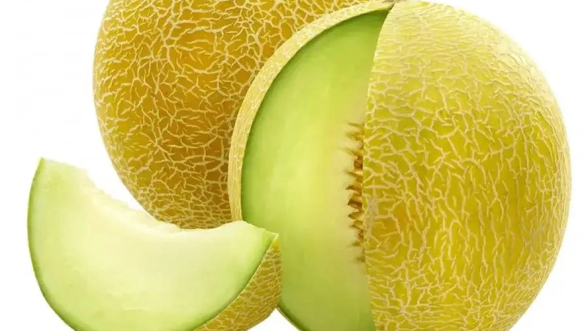 Jadi Salah Satu Kegemaran Gus Dur, Ini Manfaat Buah Melon dan Kandungannya