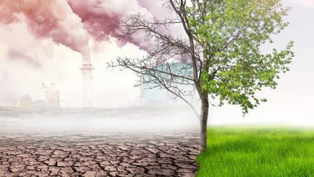 Selalu Jadi Good Boy, Indonesia Dilema Setelah Amerika Cabut dari Paris Agreement