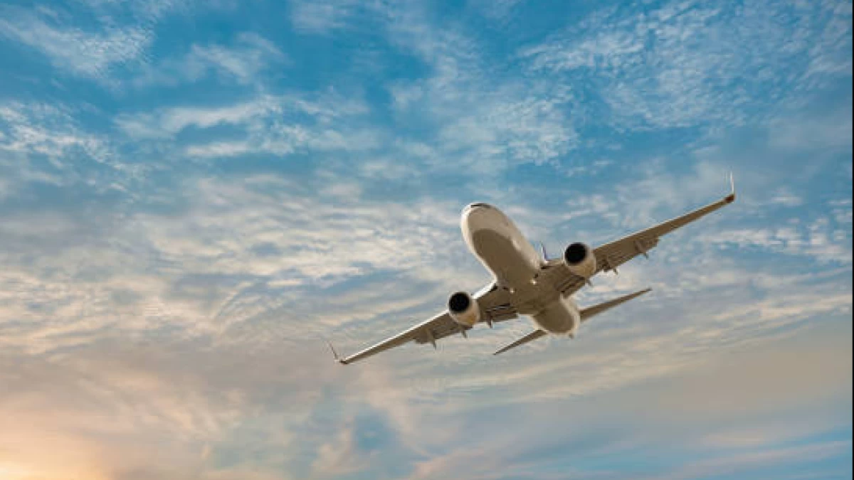 Beragam Istilah Gangguan Penerbangan Pesawat, Termasuk Bird Strike