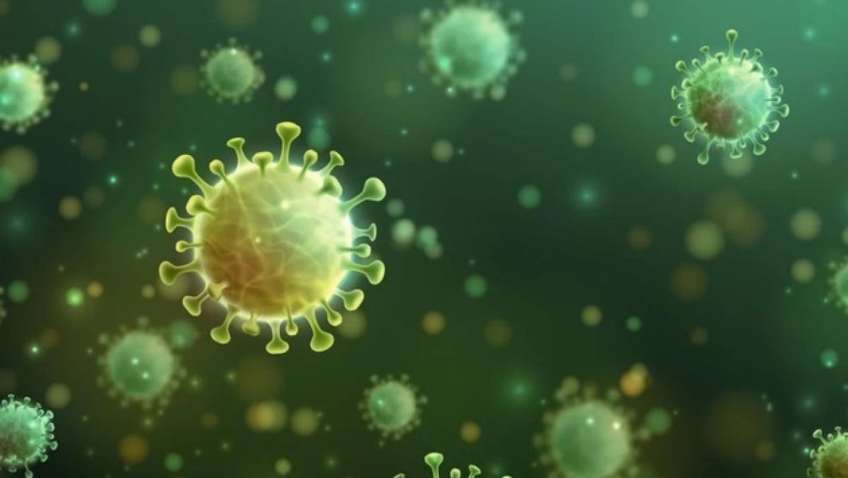 Marak Virus HMPV di China, Kemenkes RI Imbau Masyarakat Tidak Panik Namun Tetap Waspada