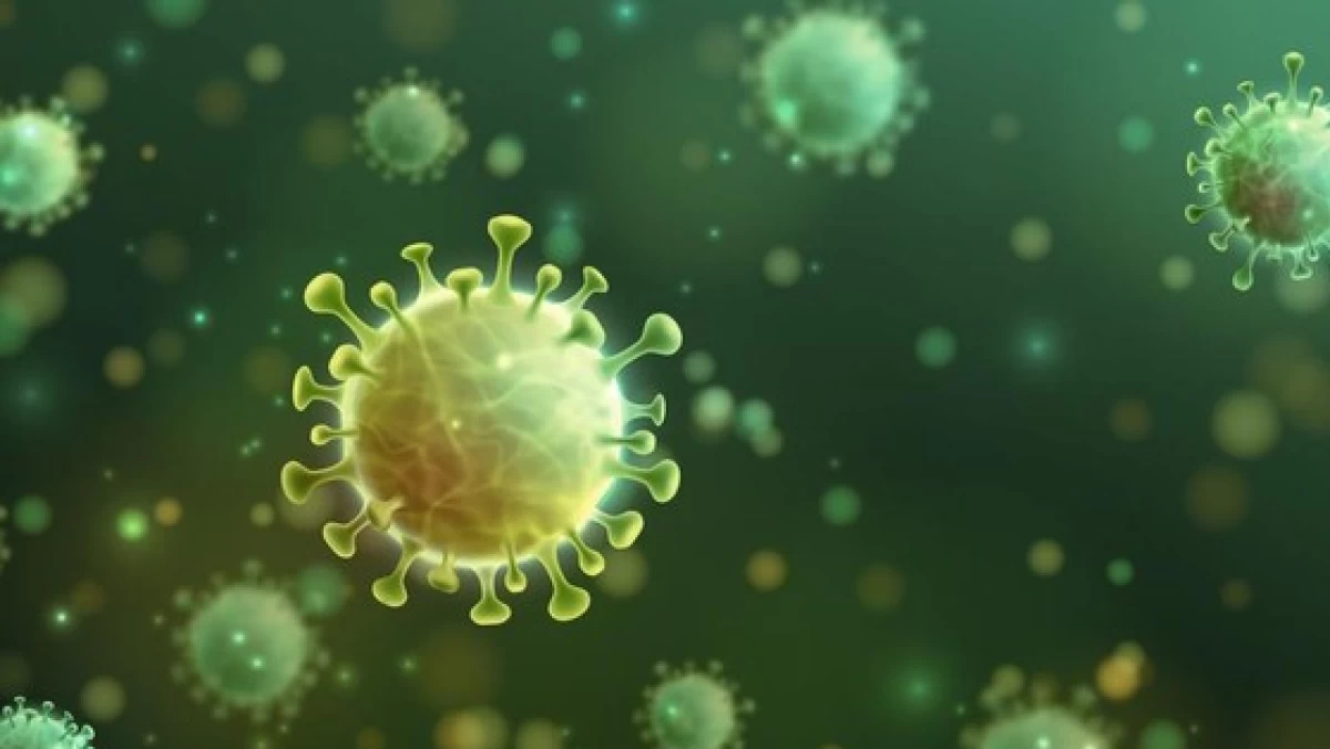 Rekomendasi Makanan Bergizi untuk Cegah Virus HMPV