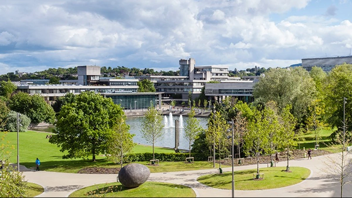 Beasiswa LPDP-University College Dublin Program Master 2025 Dibuka, Terakhir 2 Juni