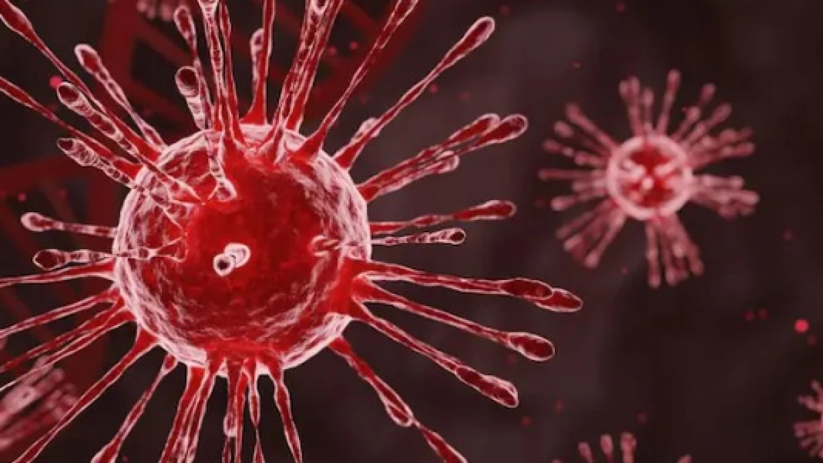 Virus HMPV: Ini Gejala, Penyebab, dan Cara Pencegahan