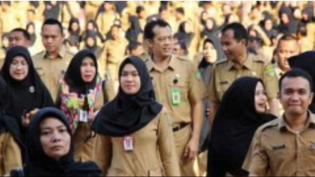 Seleksi CPNS 2024 dan Link Pengumuman Instansi-Lembaga Pemerintah