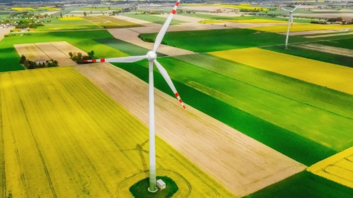Daftar Pengurus dan Fungsi Satgas Percepatan Hilirisasi dan Ketahanan Energi Nasional