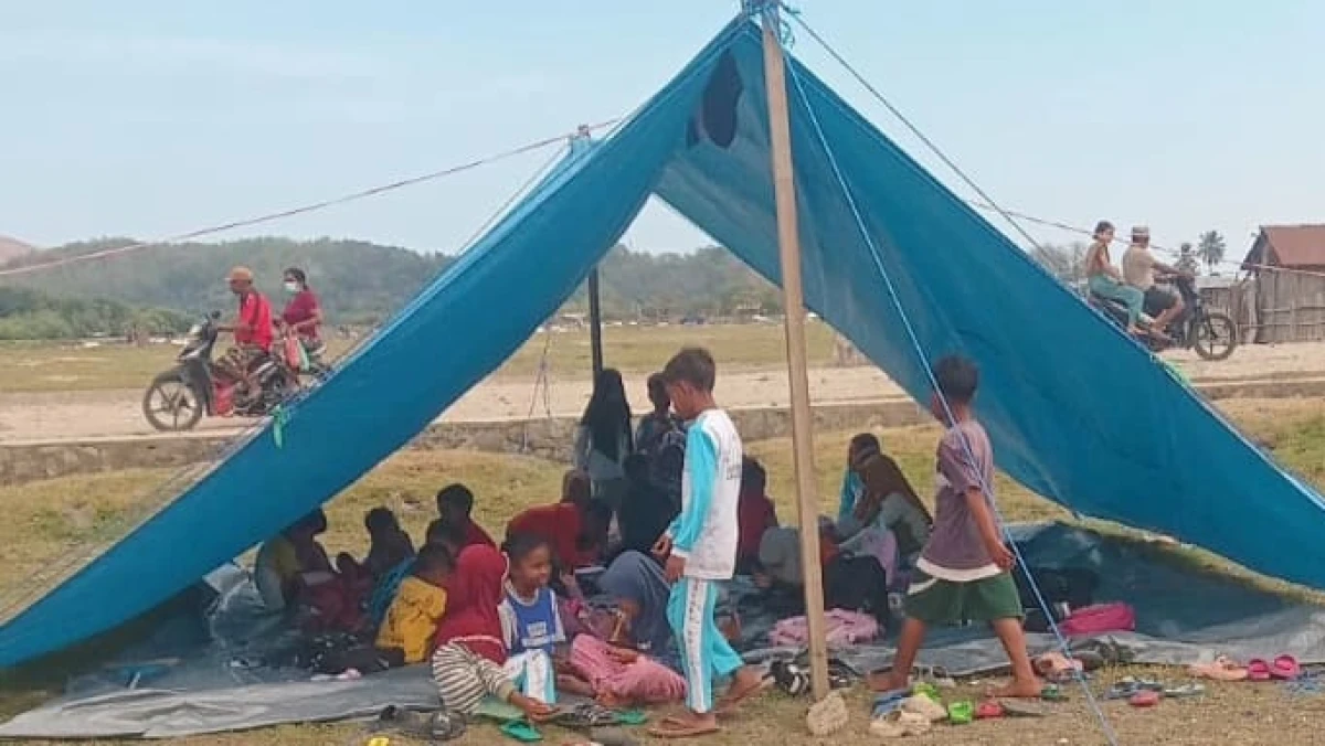 108 Warga Meninggal di Pengungsian, WALHI Desak Evaluasi Penanganan Bencana Flores