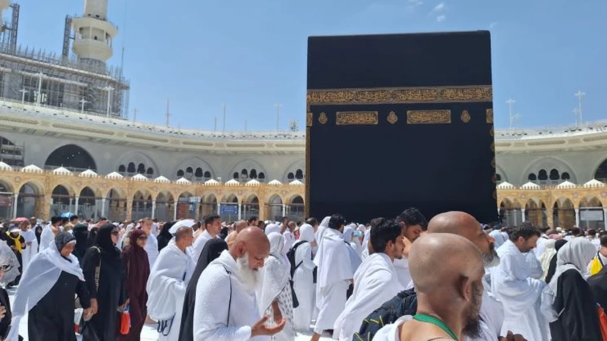 Penyelenggaraan Haji 2025: Data dan Fakta