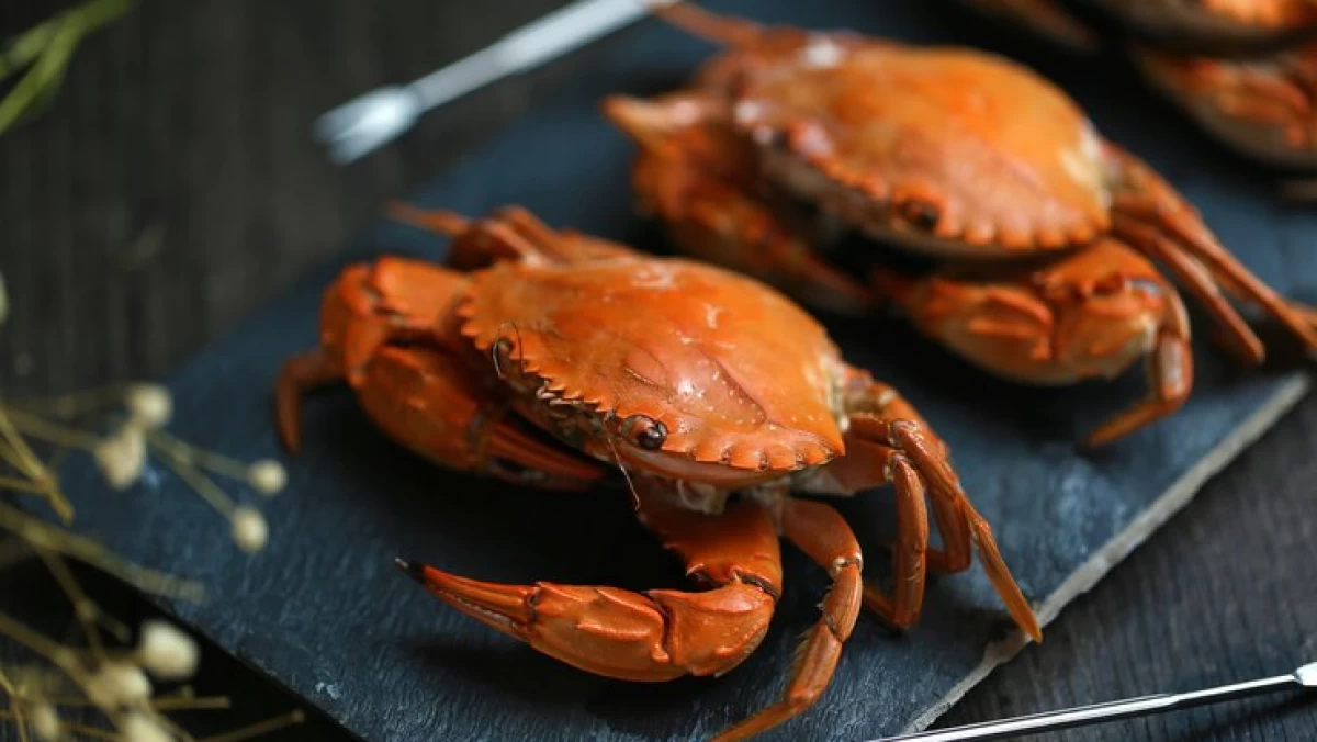 Bolehkah Kepiting Bakau Dikonsumsi?