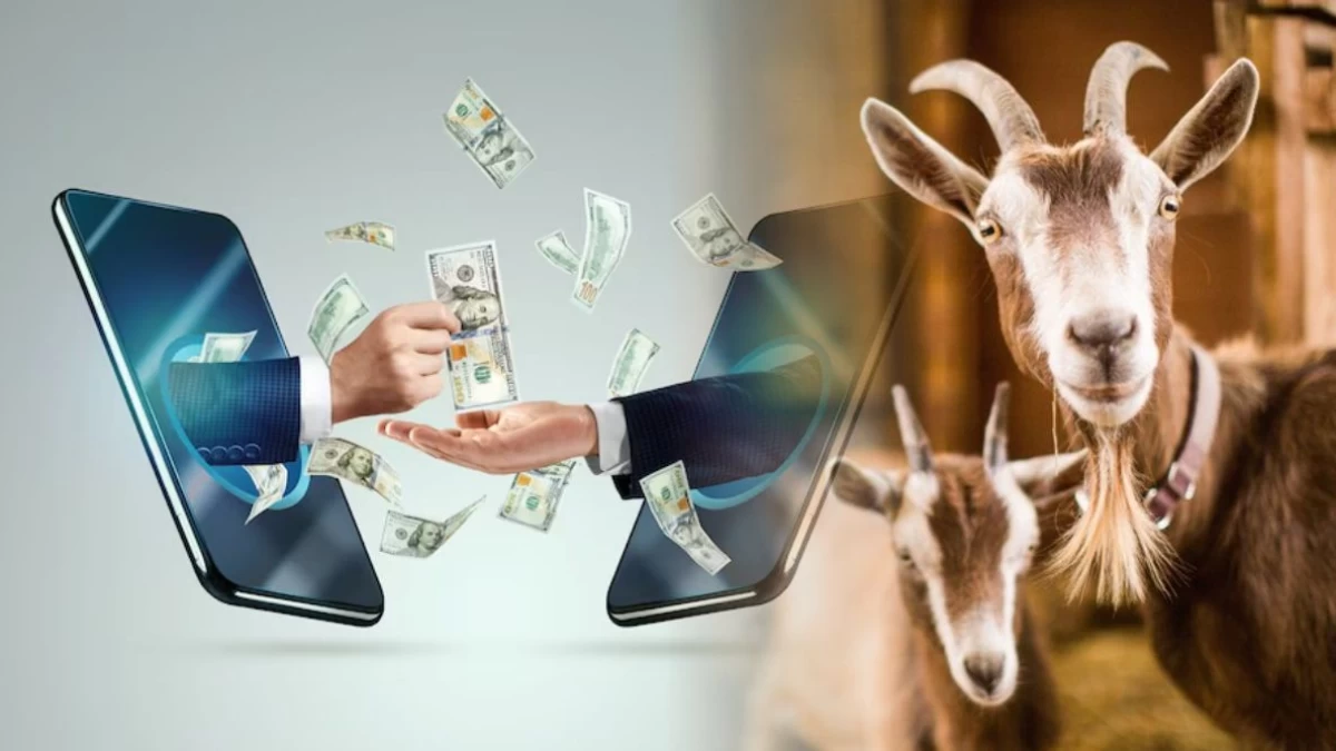 Sahkah Berkurban dengan Transfer Uang ke Lembaga Penyalur?
