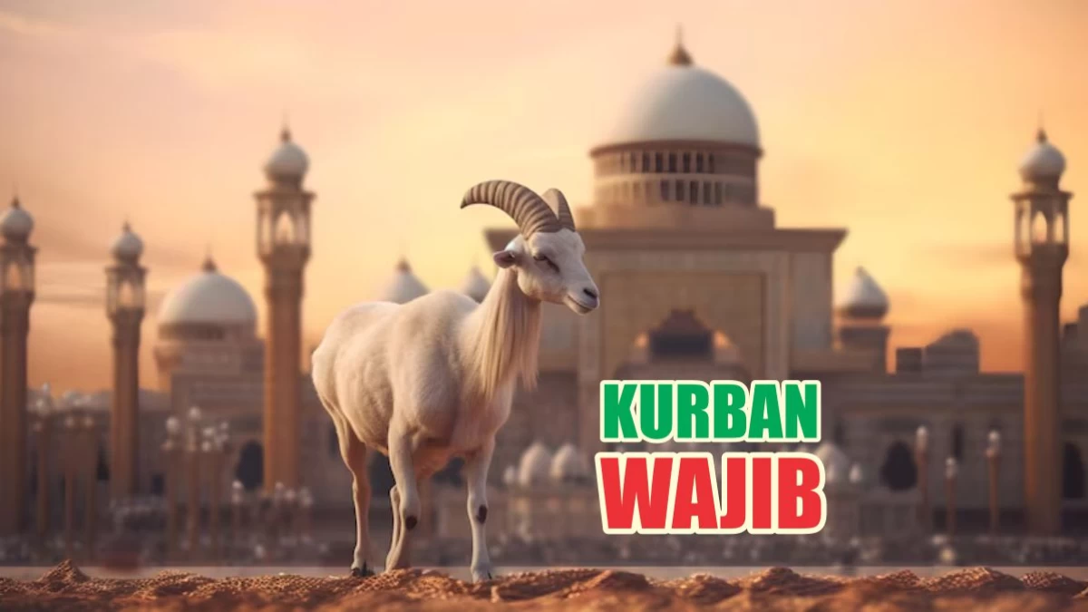 Ucapan 'Ini Kurbanku', Apakah Menjadikannya Kurban Wajib?