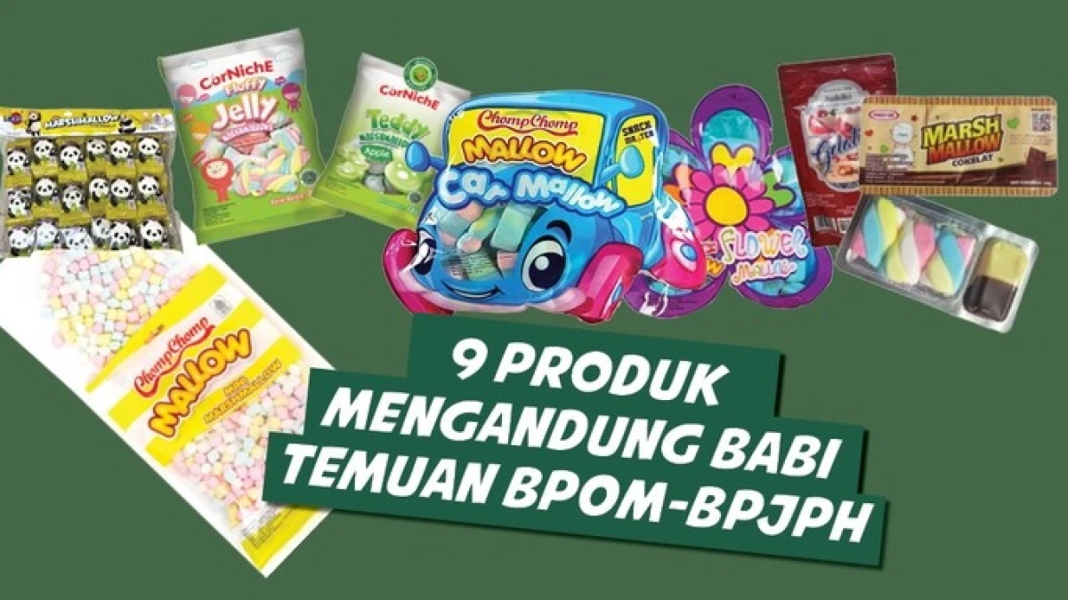 Terlanjur Konsumsi Makanan Mengandung Babi? Ini Seharusnya Sikap Kita