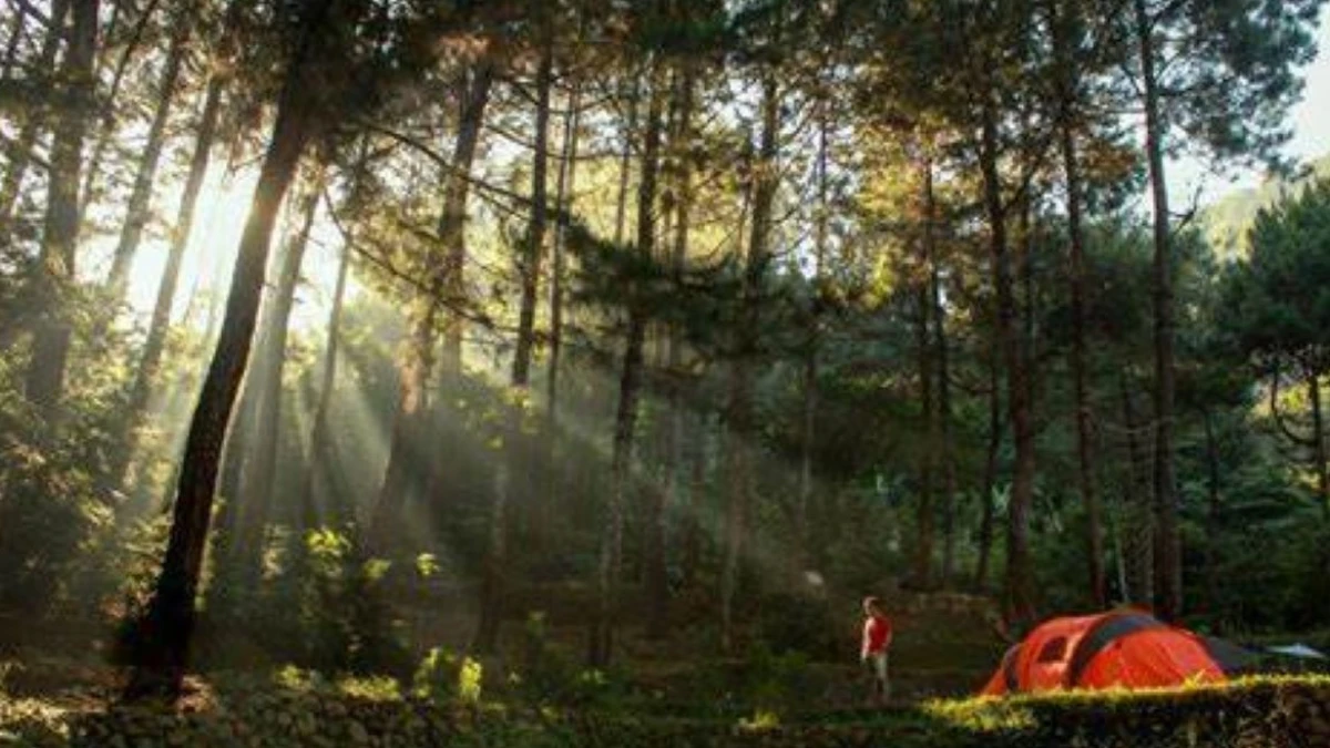 Mandi Hutan, Obat Beragam Penyakit dengan Harga Paling Murah