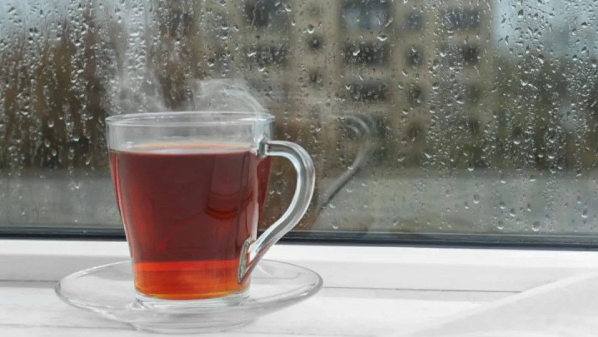 Rekomendasi Minuman Sehat Saat Musim Hujan