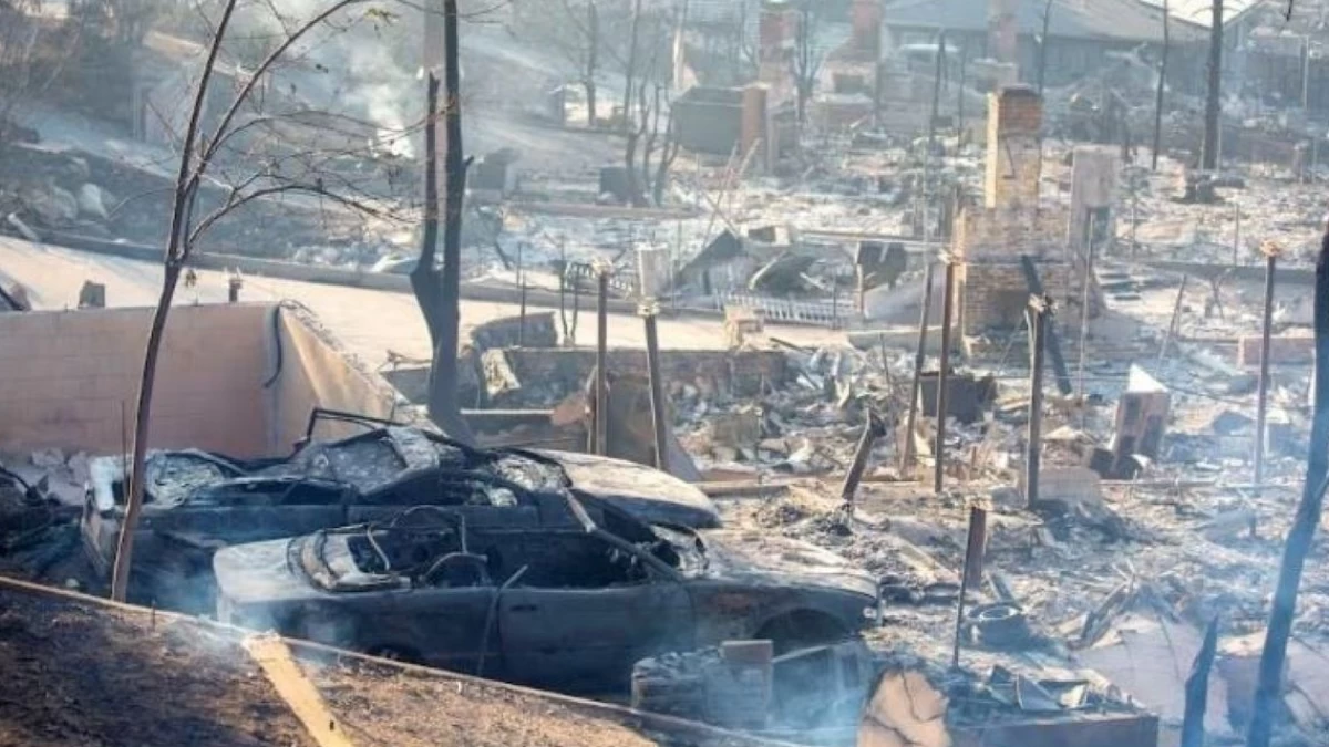 97 WNI Terdampak Kebakaran Hutan di Los Angeles