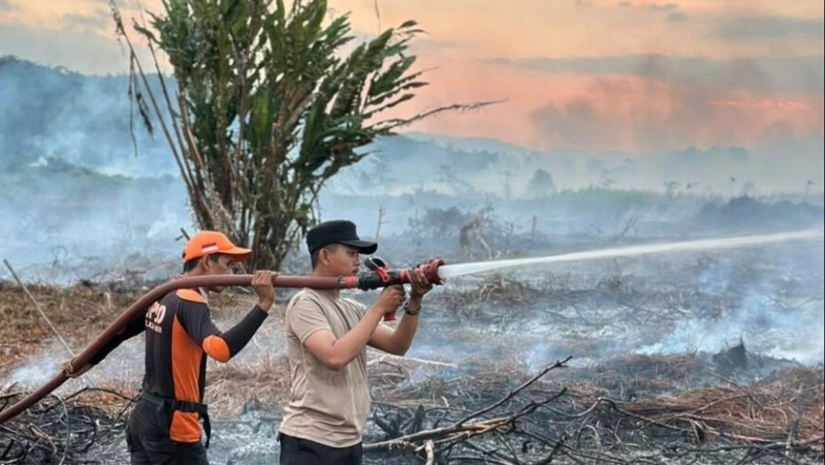 Pakar UGM Tekankan Pencegahan Karhutla Harus Dimulai sebelum Musim Kemarau