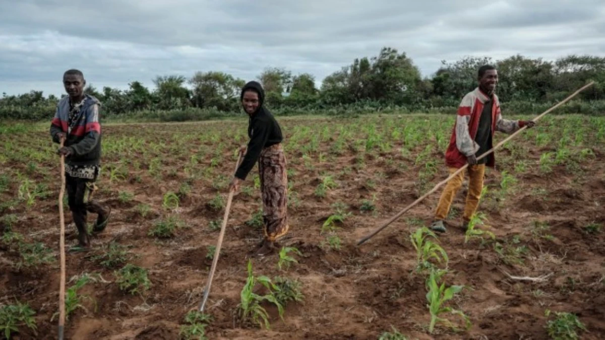 El Nino Perparah Kelaparan di Madagaskar, Jutaan Warga Terancam Krisis Pangan