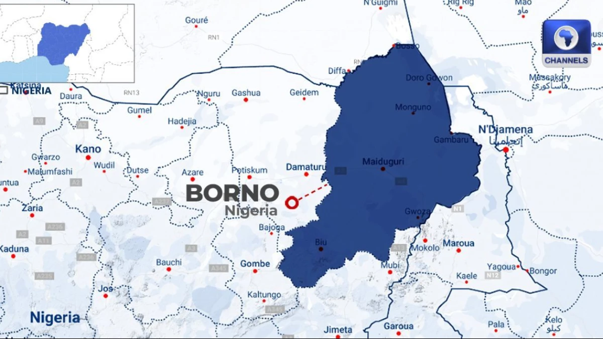 Pasukan Nigeria Tewaskan Kamerawan ISWAP di Borno, Rekaman Aktivitas Teroris Berhasil Disita