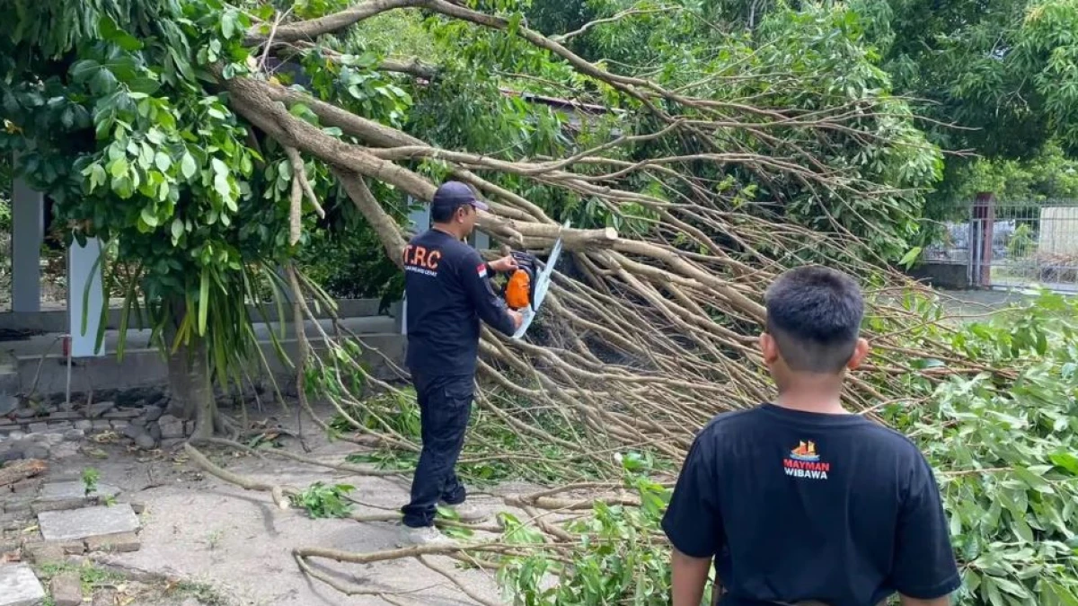 Bulukumba hingga Pangandaran Diterjang Cuaca Ekstrem, BNPB Imbau Masyarakat Waspada