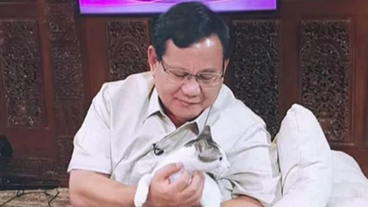 Kucing dan Kekuasaan