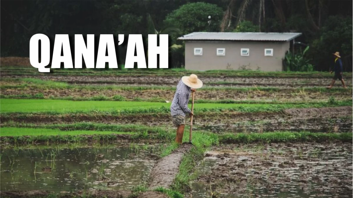 Memilih Hidup Sederhana: Ajaran dan Tips Nabi agar Qana'ah