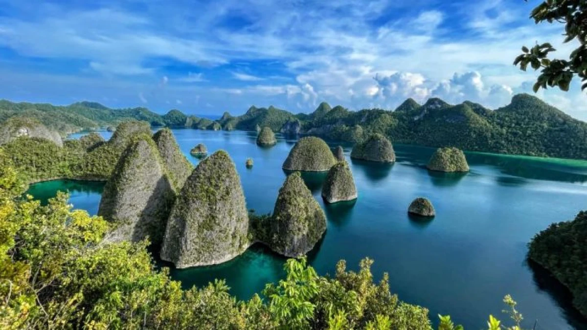 Raja Ampat & Kisah Keteladanan Umar bin Khattab dalam Melindungi Alam