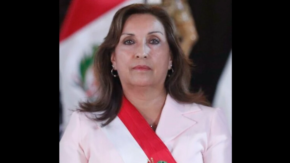 Dina Boluarte, Presiden Peru yang Pernah ke Indonesia Dimakzulkan Parlemen