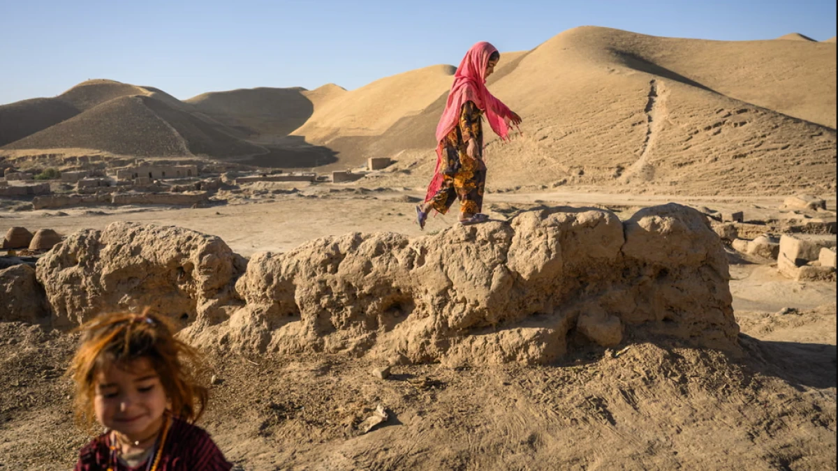 UNICEF Umumkan 3 Foto Terbaik 2025