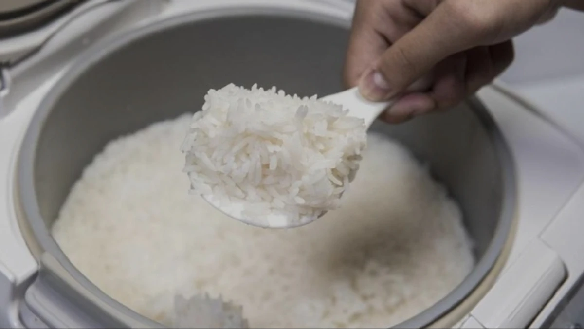 Inilah Pentingnya Kenapa Nasi Setelah Matang Harus Dipindah dari Rice Cooker