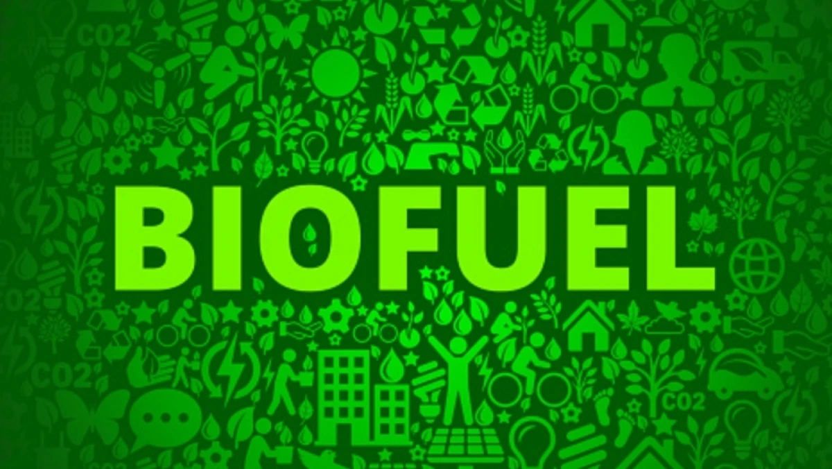 Organisasi Lingkungan Desak IMO Tak Jadikan Biofuel Pengganti Fosil dalam Skema Net-Zero