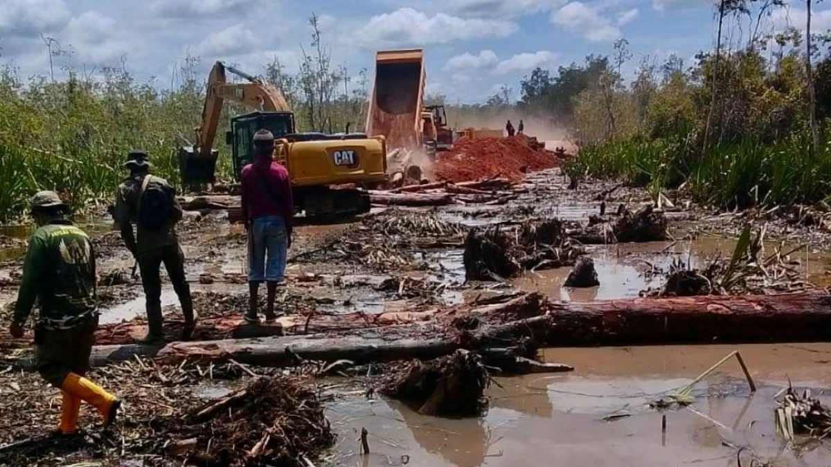 Kelompok Masyarakat Sipil Desak Pemerintah Hentikan Perampasan Hutan Adat