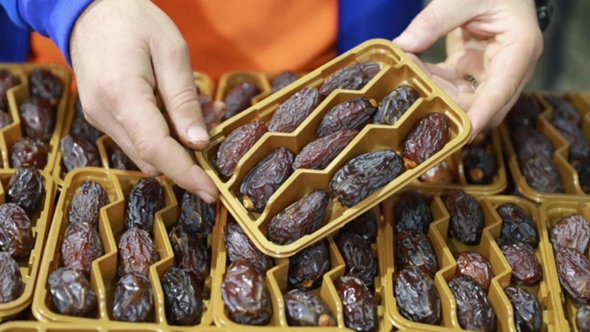 Ramadan dan Perang Dagang Kurma Palestina vs Kurma Israel